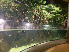 -福州罗源湾海洋世界旅游区