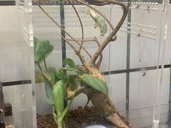 -Rabbit Cafe私房西餐甜点咖啡(栖霞路店)