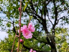 -乌山风景区