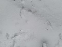 -峡谷浮石林景区