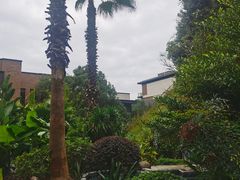 -汇雅温泉