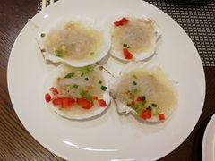 扇贝-重庆丽苑维景国际大酒店·海鲜自助餐厅