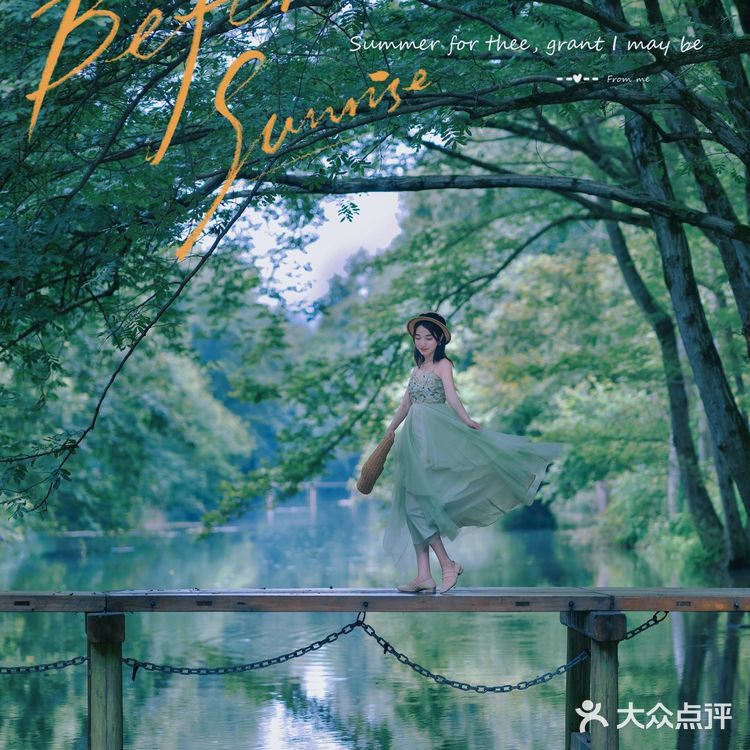 『黄山』闯入绿野仙踪🍃奇幻森林，赴一场仙境之约