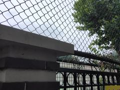 -天津市和平区哈密道小学