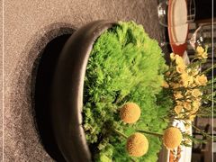 -柿合缘新京菜(国金中心商场店)