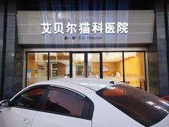 -艾贝尔宠物医院·24H转诊中心·肿瘤猫专科(江宁双龙店)