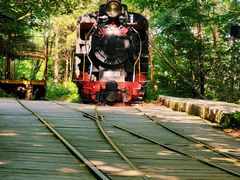 -五营红松林海景区