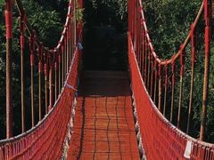 -上海吴淞炮台湾国家湿地公园