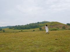 -塞罕坝国家级自然保护区