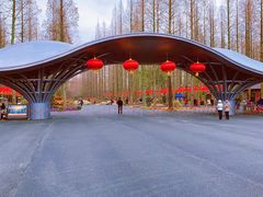 -东平国家森林公园