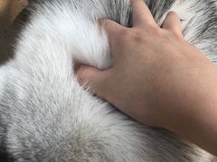 -TrueLove @ Neverland (Husky Cafe)