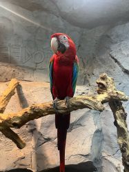 -Zoolung Zoolung动物主题公园(海信广场店)