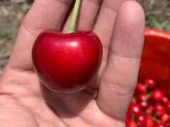 -江杨农产品批发市场