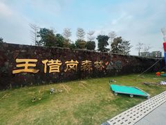 -王借岗森林公园