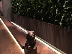 -上海外滩英迪格酒店