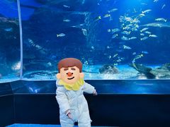 -海合安武汉极地海洋公园