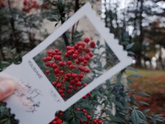-四明山国家森林公园