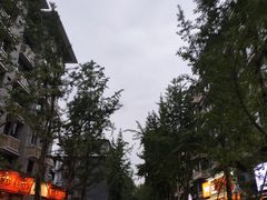 -奎星楼街