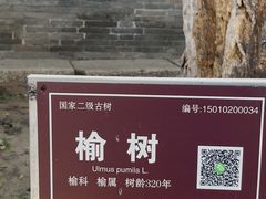 -内蒙古将军衙署博物院