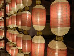 -横店影视城梦幻谷园区