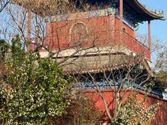 -天津妈祖文化园
