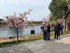 -新江湾城公园