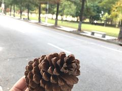 -同济大学(嘉定校区)