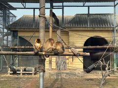 -西安秦岭野生动物园