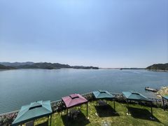 -望湖烤鱼