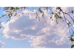 -天津武清北运河郊野公园房车露营地