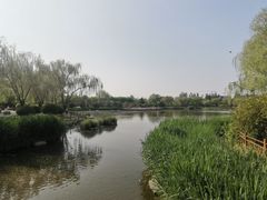 -燕郊植物园
