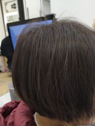 -YESIDO椰岛造型