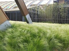 -中国天府农业博览园