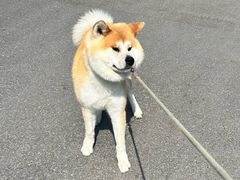 -中粮·祥云小镇