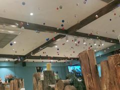 -芭莉与彩虹西餐厅(成都合生汇店)