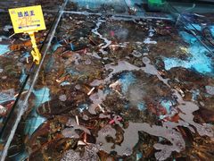 -79号渔船海鲜饭店(宝安店)