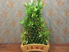 -民族饭荘(新华大街店)