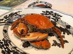 -夏苑(新加坡丽思卡尔顿美年酒店)