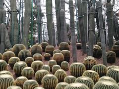 -南山植物园