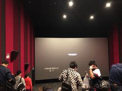 -上影国际影城(普陀绿地缤纷城店)