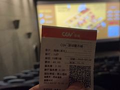 -CGV影城(壹方城IMAX店)
