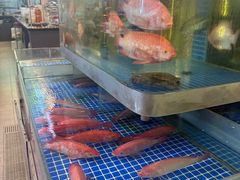 -蚝美人·生蚝海鲜烧烤(茶花园店)