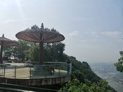 -铁山坪森林公园