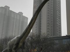 -陕西自然博物馆