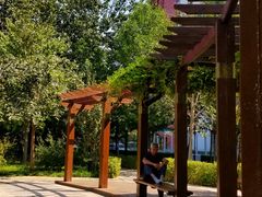 -首都医科大学附属北京友谊医院(西城院区)