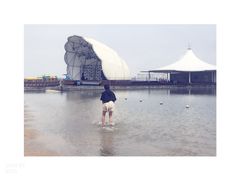 -碧海金沙