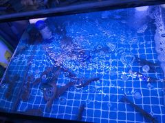 -面道赞宁海海鲜面(迎凤街店)