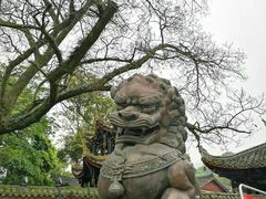-峨眉山报国寺
