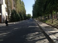 -黑龙江大学