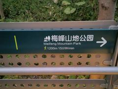 -福道